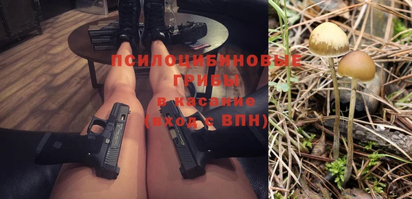 альфа пвп Пролетарск