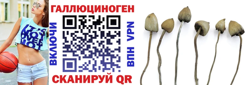 Галлюциногенные грибы GOLDEN TEACHER наркотики ОМГ ОМГ ТОР Весьегонск